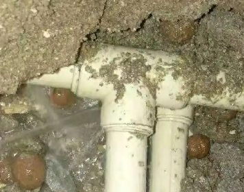 德城测漏水多少钱