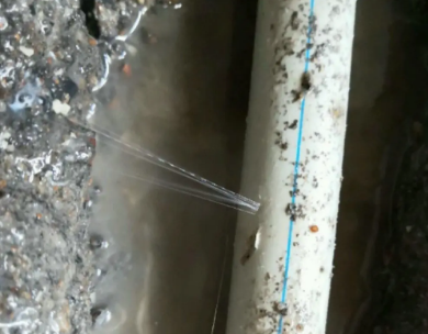 德城测漏水哪家好