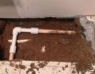 德城测漏水哪家好