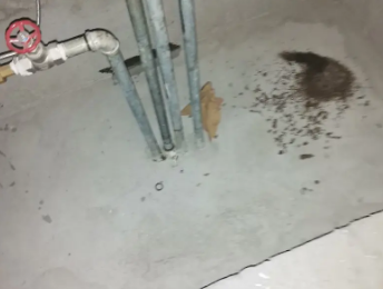 德城卫生间测漏水价格明细