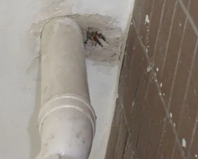 德城漏水检测哪家好